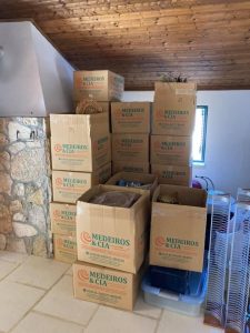 20231005_121535082_iOS